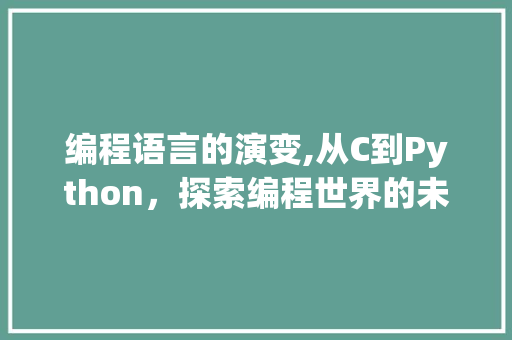 编程语言的演变,从C到Python，探索编程世界的未来