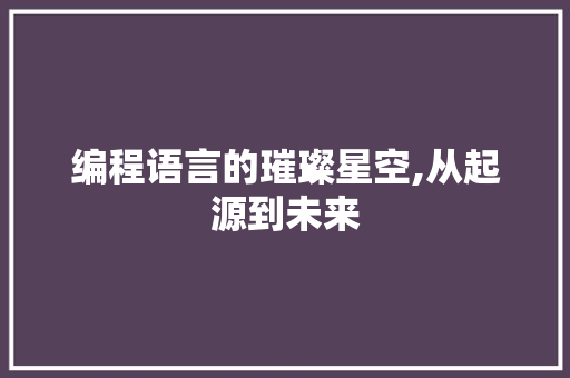 编程语言的璀璨星空,从起源到未来
