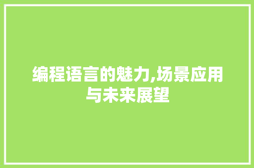 编程语言的魅力,场景应用与未来展望 编程语言的魅力,场景应用与未来展望