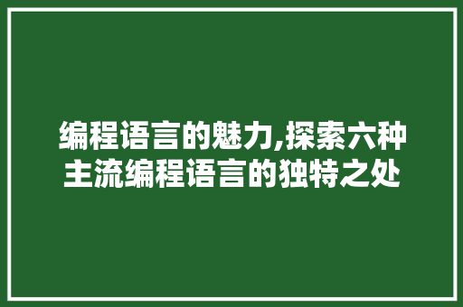 编程语言的魅力,探索六种主流编程语言的独特之处