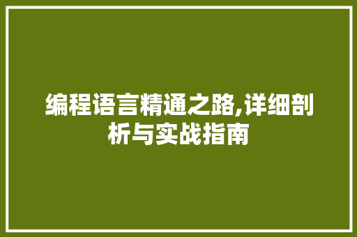 编程语言精通之路,详细剖析与实战指南