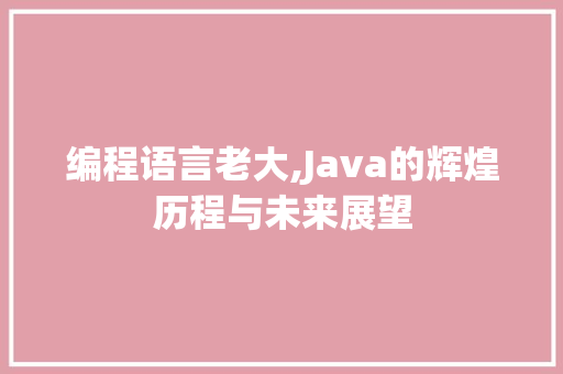 编程语言老大,Java的辉煌历程与未来展望