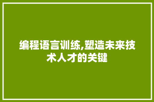 编程语言训练,塑造未来技术人才的关键