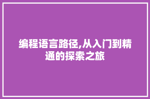 编程语言路径,从入门到精通的探索之旅