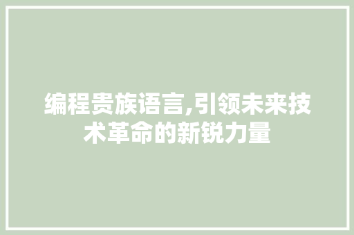 编程贵族语言,引领未来技术革命的新锐力量