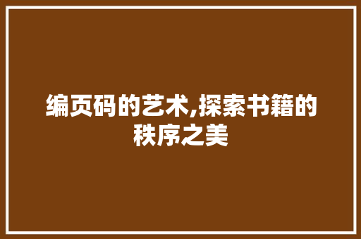 编页码的艺术,探索书籍的秩序之美