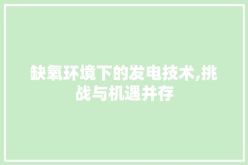 缺氧环境下的发电技术,挑战与机遇并存