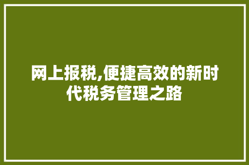 网上报税,便捷高效的新时代税务管理之路