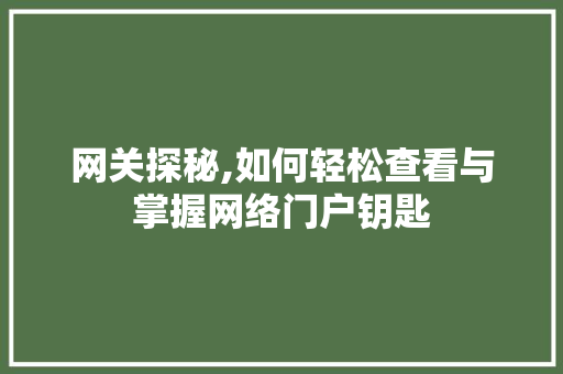 网关探秘,如何轻松查看与掌握网络门户钥匙