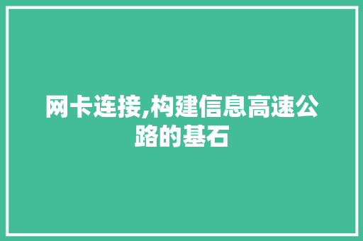 网卡连接,构建信息高速公路的基石