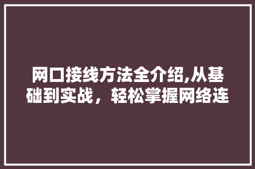 网口接线方法全介绍,从基础到实战，轻松掌握网络连接艺术