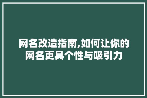 网名改造指南,如何让你的网名更具个性与吸引力