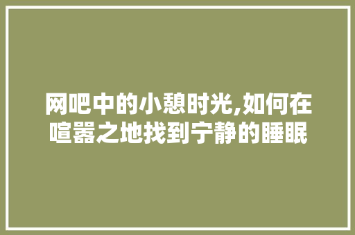 网吧中的小憩时光,如何在喧嚣之地找到宁静的睡眠