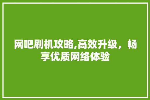 网吧刷机攻略,高效升级，畅享优质网络体验