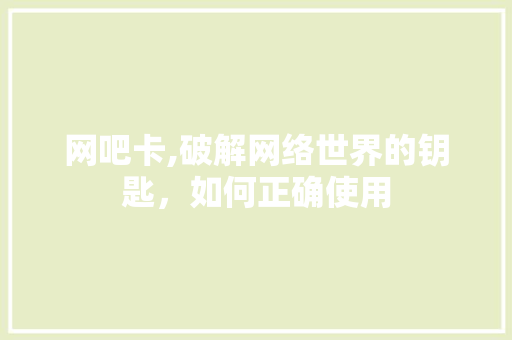 网吧卡,破解网络世界的钥匙，如何正确使用