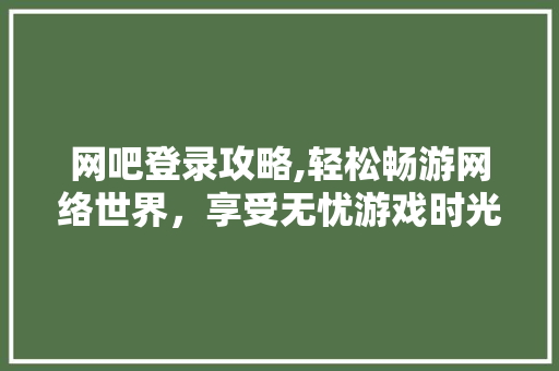 网吧登录攻略,轻松畅游网络世界，享受无忧游戏时光
