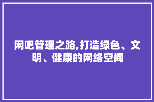 网吧管理之路,打造绿色、文明、健康的网络空间