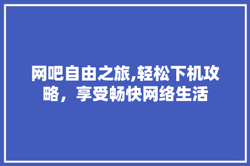 网吧自由之旅,轻松下机攻略，享受畅快网络生活