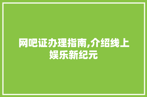 网吧证办理指南,介绍线上娱乐新纪元