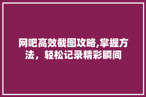 网吧高效截图攻略,掌握方法，轻松记录精彩瞬间