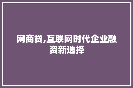 网商贷,互联网时代企业融资新选择
