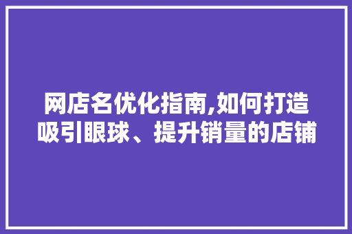 网店名优化指南,如何打造吸引眼球、提升销量的店铺名称