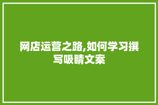 网店运营之路,如何学习撰写吸睛文案