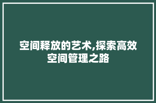空间释放的艺术,探索高效空间管理之路