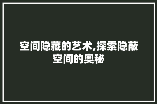 空间隐藏的艺术,探索隐蔽空间的奥秘