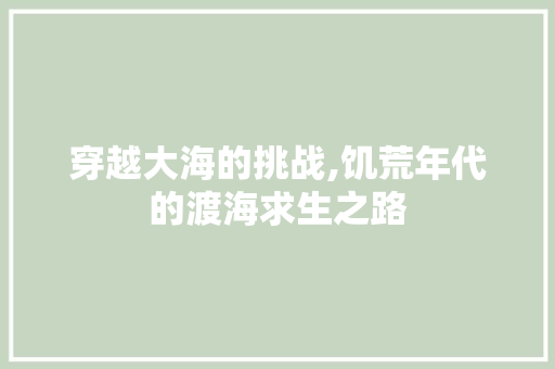 穿越大海的挑战,饥荒年代的渡海求生之路