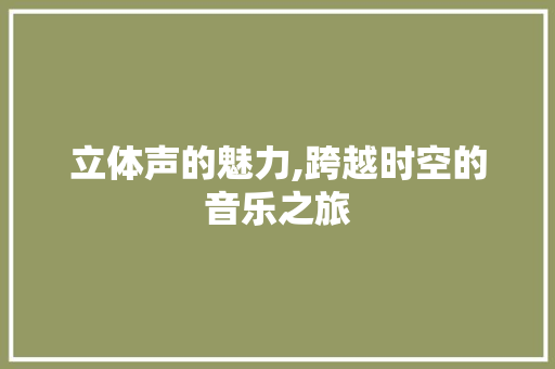 立体声的魅力,跨越时空的音乐之旅 服务器/数据库