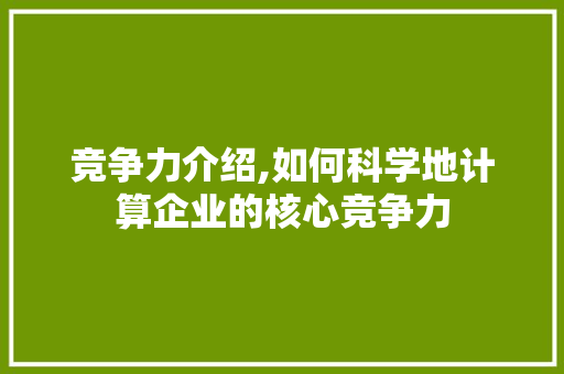 竞争力介绍,如何科学地计算企业的核心竞争力