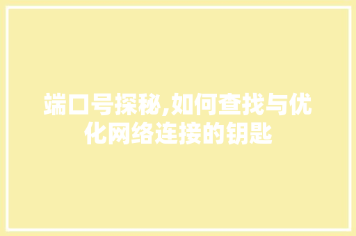 端口号探秘,如何查找与优化网络连接的钥匙