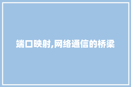端口映射,网络通信的桥梁