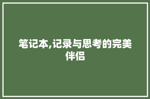 笔记本,记录与思考的完美伴侣
