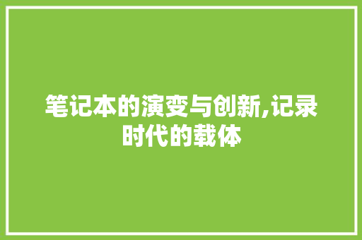 笔记本的演变与创新,记录时代的载体