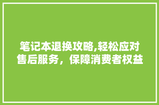 笔记本退换攻略,轻松应对售后服务，保障消费者权益
