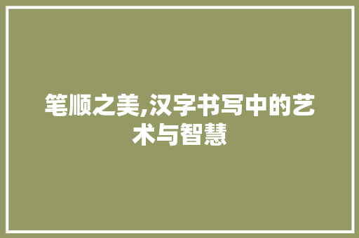 笔顺之美,汉字书写中的艺术与智慧