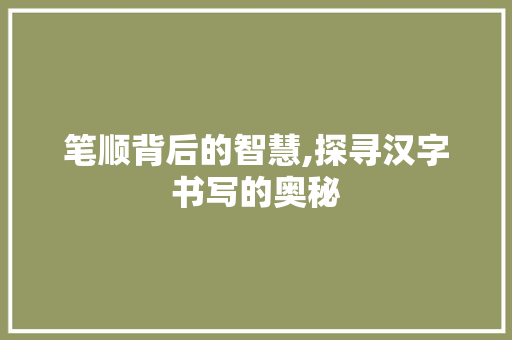 笔顺背后的智慧,探寻汉字书写的奥秘