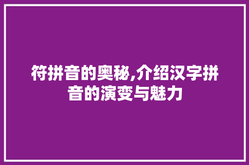 符拼音的奥秘,介绍汉字拼音的演变与魅力