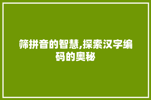 筛拼音的智慧,探索汉字编码的奥秘