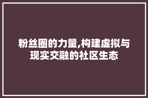 粉丝圈的力量,构建虚拟与现实交融的社区生态
