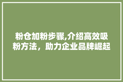 粉仓加粉步骤,介绍高效吸粉方法，助力企业品牌崛起