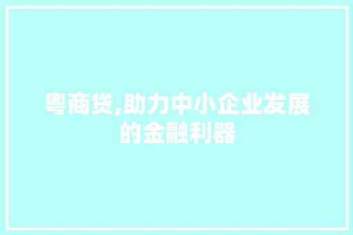 粤商贷,助力中小企业发展的金融利器