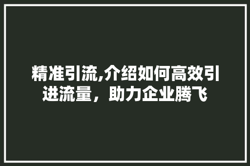 精准引流,介绍如何高效引进流量，助力企业腾飞