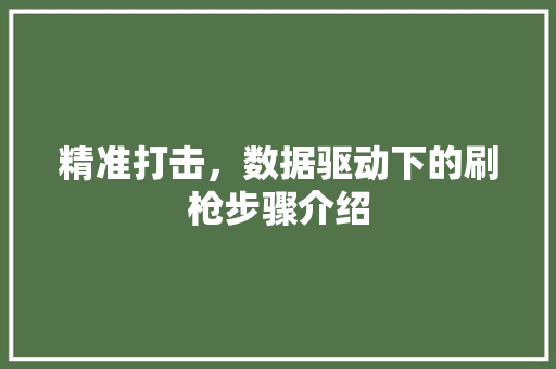 精准打击，数据驱动下的刷枪步骤介绍