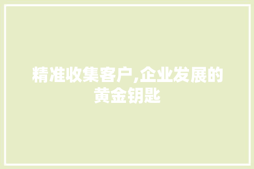 精准收集客户,企业发展的黄金钥匙