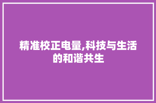 精准校正电量,科技与生活的和谐共生
