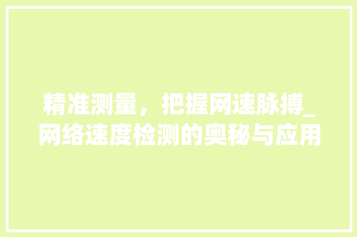 精准测量，把握网速脉搏_网络速度检测的奥秘与应用