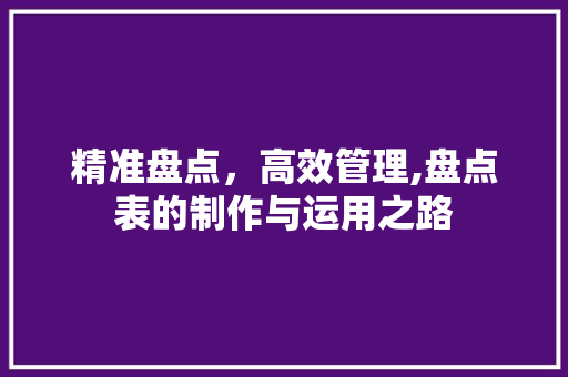 精准盘点，高效管理,盘点表的制作与运用之路